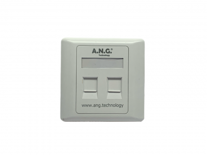 ANG Network 2*RJ Port Faceplate
